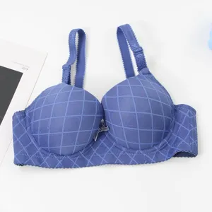 Women's push up bra plus size wired gathering underwear blue plaid stylish comfortable intimate apparel