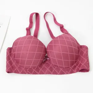 Women push up plus size sexy underwire bra comfortable lingerie exquisite detail view