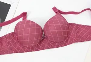 Women push up wired bra sexy plus size anti sagging rose red grid undergarment design