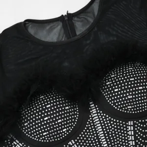 Close up detail of black mesh rhinestone feather spliced dress bodice with back zipper.