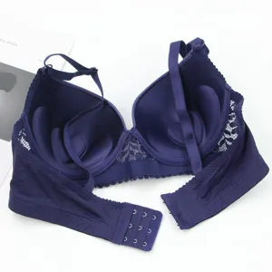 Deep blue push-up bra detail showing molded cups, lace sides and back hook closure.
