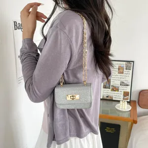 Chic metallic silver woven shoulder crossbody bag detail with stylish gold chain strap.
