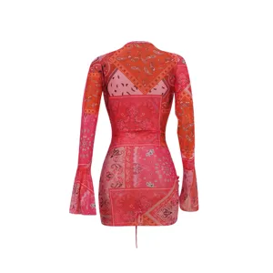 Back detail view of red paisley print mesh long sleeve bodycon dress, sheer fabric close-up.