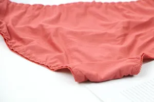 Comfortable seamless solid color women underwear detail shot, soft everyday basic briefs.