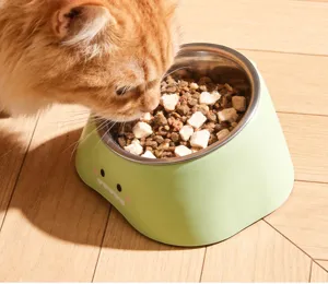 Cat bowl elevated tilted stainless steel pet feeding bowl with cute design detail