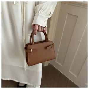 Brown minimalist mini handbag, chic structured design with side buckle details for casual wear.