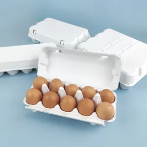 Eco-friendly white paper pulp egg carton biodegradable packaging detail display design