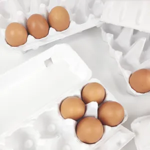 Eco-friendly white molded paper pulp egg cartons with fresh brown eggs for secure transport.
