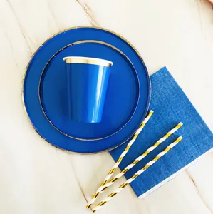 Detailansicht von blauen und goldenen Einweg-Papptellern, Bechern und Strohhalmen für Partys.