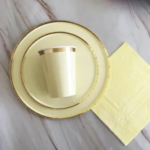 Nahaufnahme der Einweg-Party-Pappteller, Becher und Servietten mit elegantem Goldrand.