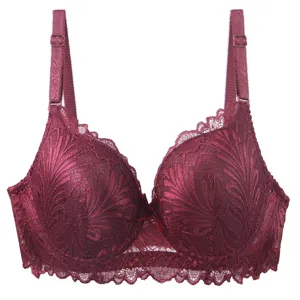 Close-up detail of luxurious full lace wine red plus size French underwire bra texture.