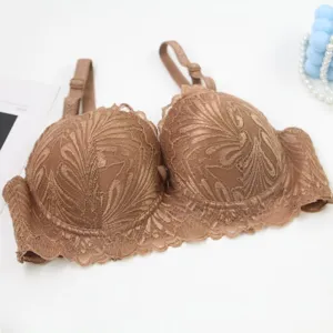 Detailed shot of elegant brown lace bra with delicate floral patterns and adjustable straps.