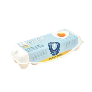 Milieuvriendelijke 12-stuks papierpulp eierdoos voor verse opslag in de keuken thuis.