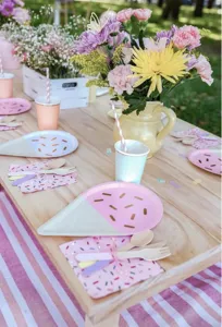 Detailed view of cute ice cream shaped paper plates and party tableware on picnic table.