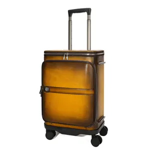 Vintage retro leather trolley suitcase with spinner wheels and telescopic handle for travel business.