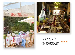 Spring theme disposable party tableware paper plates cups napkins decoration supplies
