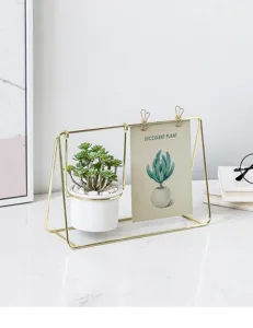 Cornice dorata minimalista nordica pianta succulenta artificiale in vaso decorazione casa