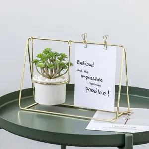 Cornice portafoto creativa di lusso nordico pianta succulente in vaso decorazione.