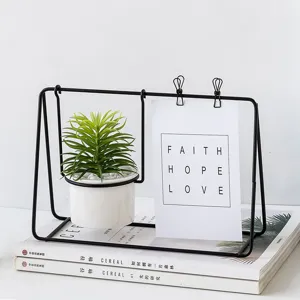 Cornice portafoto creativa nordica pianta grassa artificiale in vaso per decoro tavolo