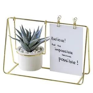 Pianta succulenta in vaso d'arte in ferro di lusso nordico con cornice per foto decorazione