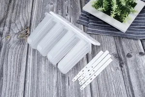 Plastic 4-cavity popsicle mold with lid and sticks, ideal for DIY homemade summer ice cream.