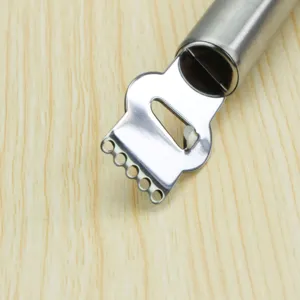 Edelstahl Zitronen Zester und Zitrusreibe mit ergonomischem Rohrgriff für die Küche.