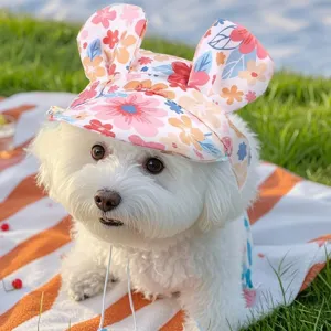 Cute floral pet sun hat with bunny ears, breathable dog fisherman hat for outdoor travel.