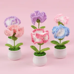 Handgemaakte Gehaakte Anjer Kunstbloem Potplant Met Keramische Pot Moederdag Cadeau Woondecoratie Bureau Ornament