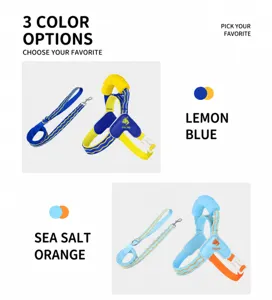 Reflective dog harness and leash set in vibrant candy color variants