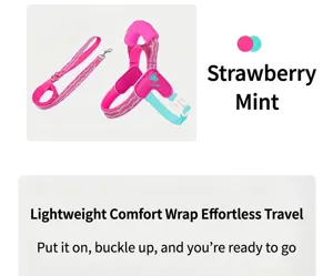 Reflective strawberry mint pet harness and leash set for small dogs