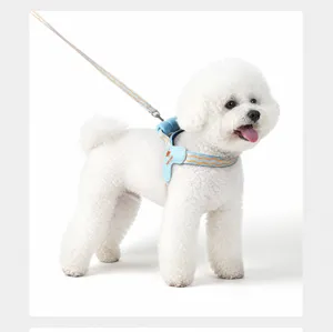 Detail of blue reflective dog harness and leash set on a white Bichon Frise