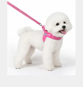 Detailed view of the pink reflective dog harness and matching leash on a small dog