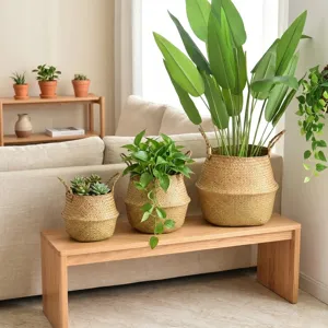 Trois cache-pots en paille tressée de tailles différentes sur un banc en bois avec plantes