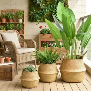 Lot de trois paniers en jonc de mer tressé utilisés comme jardinières sur un balcon ensoleillé.