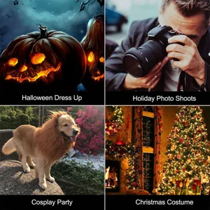 Detailansicht der Löwenmähne Perücke für Hunde als lustiges Kostüm für Halloween und Feste.