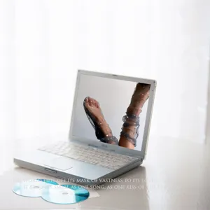 Primo piano di calze a rete trasparenti con stelle glitterate mostrate sullo schermo del laptop.