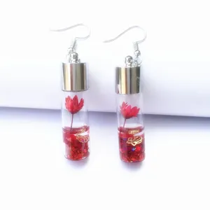 Fashion Glass Wishing Bottle Earrings With Dried Star Flowers Transparent Drift Bottle Pendant Earrings For Women Jewelry Gift