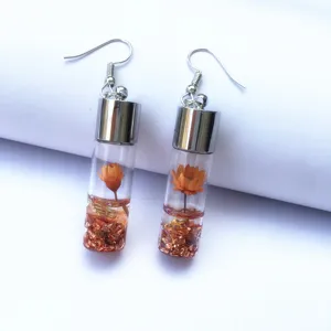 Dried flower glass bottle earrings fashion transparent wish bottle drop earrings for women