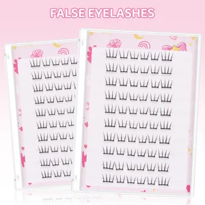 Segmentiertes künstliche Wimpern Aufbewahrungsbuch Set mit 10 Reihen DIY Wimpern in rosa Etui.