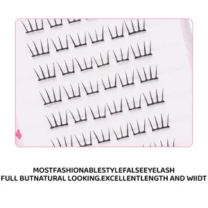 Segmentierte künstliche Wimpern Detailaufnahme, schwarze DIY Wimperntrays für Augen Make-up.
