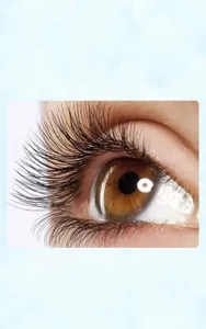 Nahaufnahme von natürlichen künstlichen Wimpern am Auge mit langem und geschwungenem Effekt.