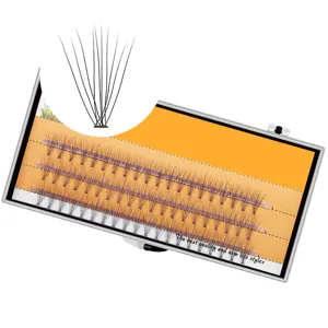 Heisschmelz Bueschel Kunstwimpern segmentierte Kamelie Veredelung Einzelwimpern Tray Box Pro
