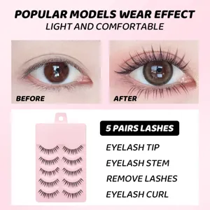 Detaillierte Nahaufnahme zeigt 5 Paare natürliche künstliche Wimpern und den Trageeffekt.
