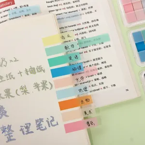 Transparente PET-Index-Haftnotizen in Macaron-Farben zum Markieren von Seiten und Notizen