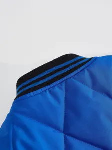 Men's winter quilted jacket detail featuring a stylish black and blue striped ribbed collar.
