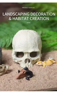 Vista de cerca de decoración de calavera realista para terrario o acuario