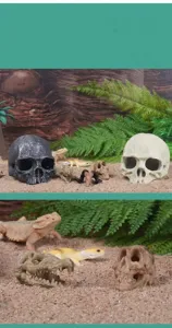 Vista macro detallada de cuevas de calaveras de resina para terrarios de reptiles