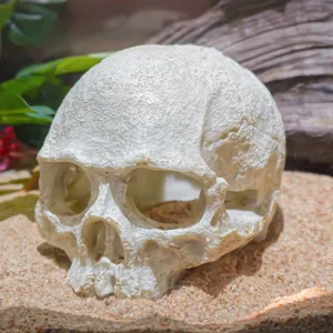 Decoración realista de escondite de calavera de resina para terrarios de reptiles y acuario.
