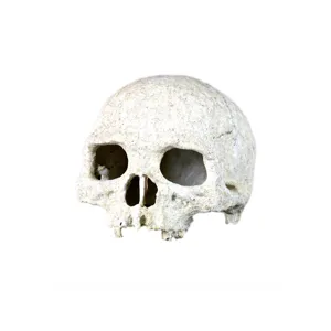 Escondite de calavera realista para terrarios de reptiles y decoración de acuarios