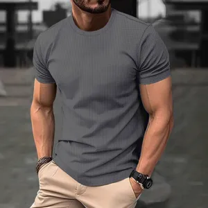 Men's Casual Short Sleeve Slim Fit Seersucker Textured T-Shirt for Summer Fashion